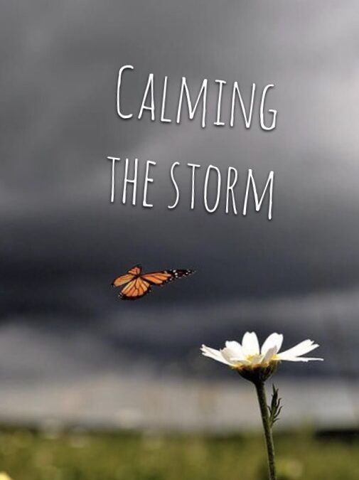 “Calming the Storm” by Rev. Beth O’Callaghan