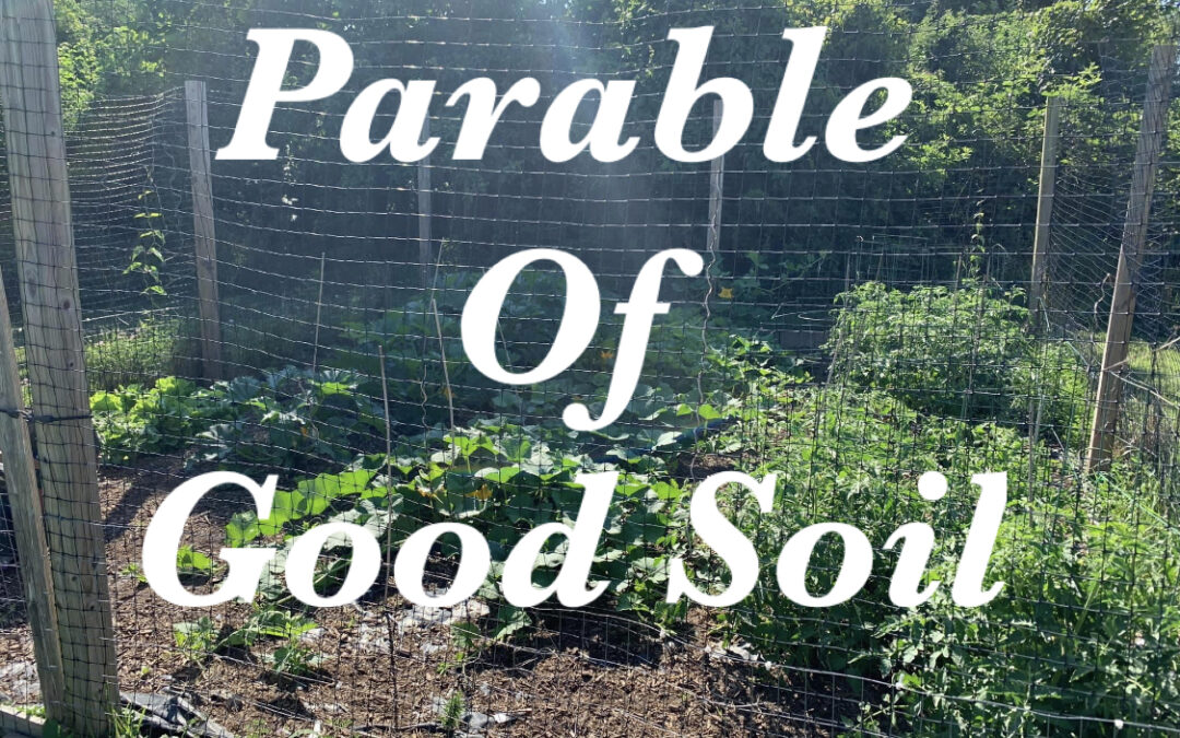 “Parable of Good Soil” by Rev. Beth O’Callaghan July 12 2020