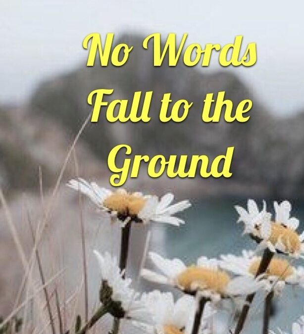 “Now Words Fall to the Ground” by Rev. Beth O’Callaghan