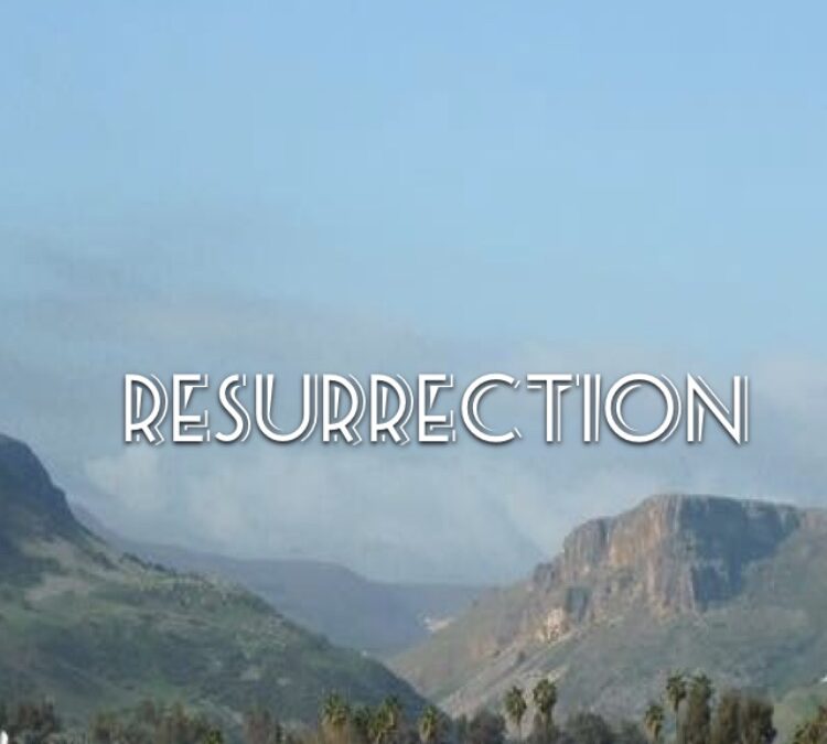 Resurrection by Rev. Beth O’Callaghan